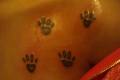  Tatuae, Piercing, Body Modyfication, Obrazy Po Kosztach!!!!