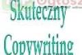 Copywriting, teksty na strony internetowe, blogi, opisy produkt�w-j�zyk polski i angielski